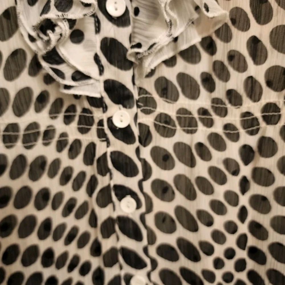 Flash Sale: Polka Dot Ruffle Blouse - Picture 4 of 6